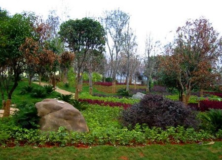 �P(gu��n)������