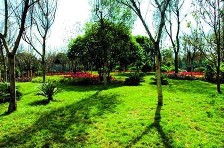 �P(gu��n)�Ϲ��@