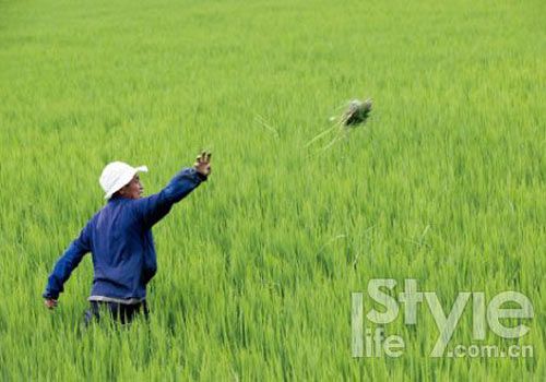 ϲ�ݹ��(zh��n)߅�ĵ���