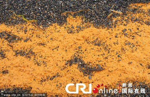 ��ɫ���|(zh��)