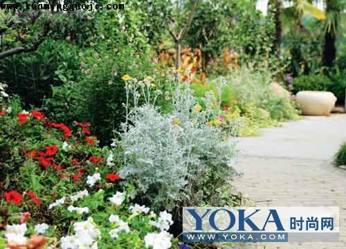 �ܺú��ӵ���