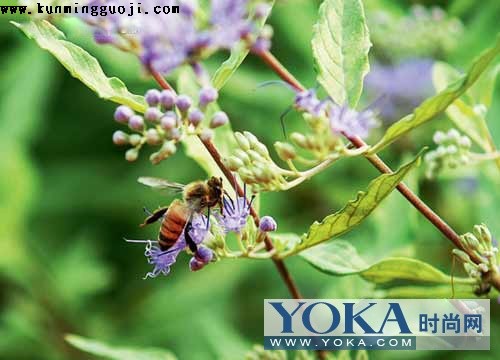 ��(y��ng)��̎��Ҫ��ӛ