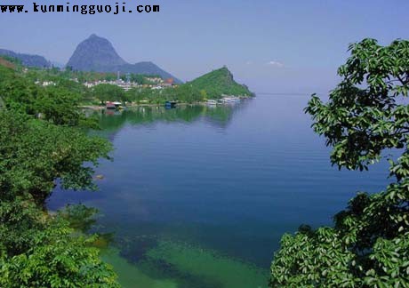 ���ɺ�����ָ��