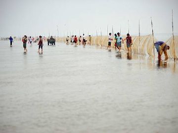 天津唯一趕海拾貝景區(qū)要門(mén)票嗎？屬于