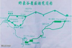 西雙版納野象谷要門票不是多少錢？屬