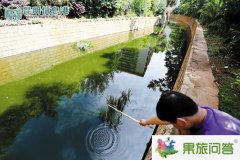 <b>昆明市上演小龍蝦大戰(zhàn)！小龍蝦涌進(jìn)入滇河道危害極大市民展開(kāi)捕殺</b>