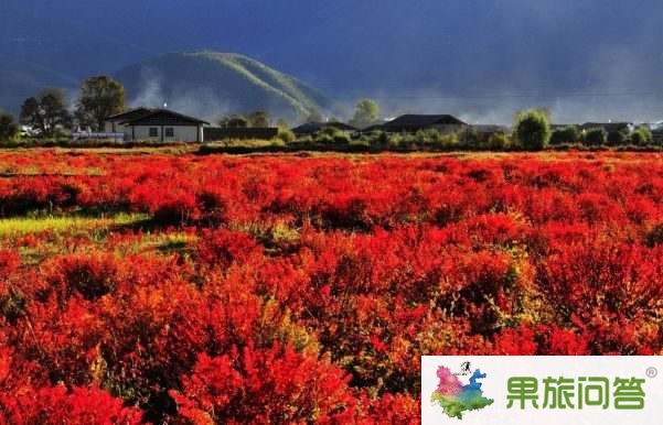 超值休閑游—麗江、香格里拉、大理六日游 HX