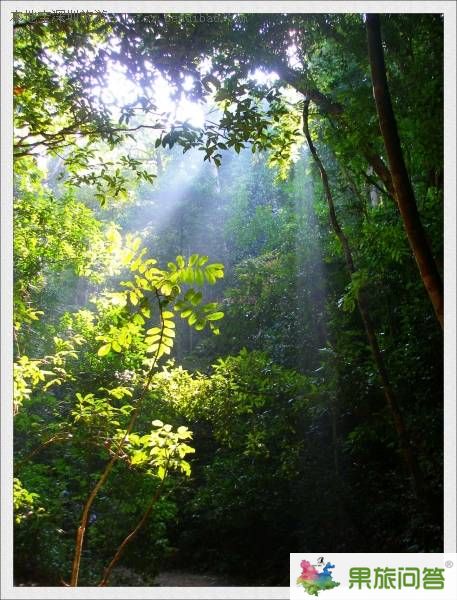 點(diǎn)擊查看下一頁(yè)