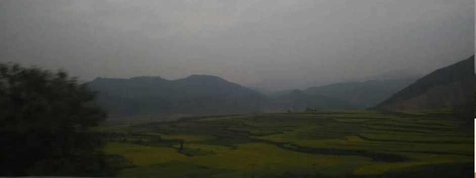 云南羅平油菜花已經(jīng)開了，你還等什么？