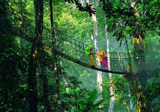 <b>昆明到西雙版納自駕游旅游攻略 必玩的景點有哪些地方</b>